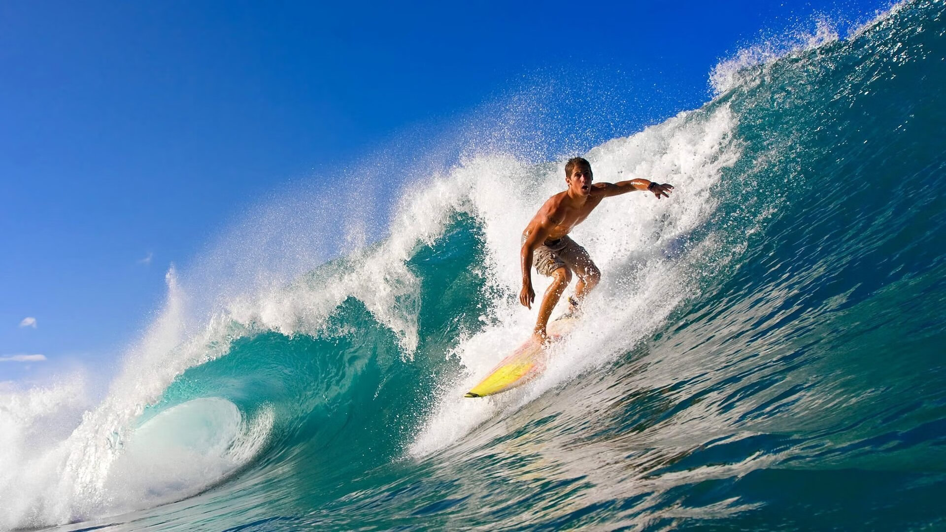 太贪了!中超12场7球神锋走红,受多支强队追捧,月薪56万还嫌少,中超足球