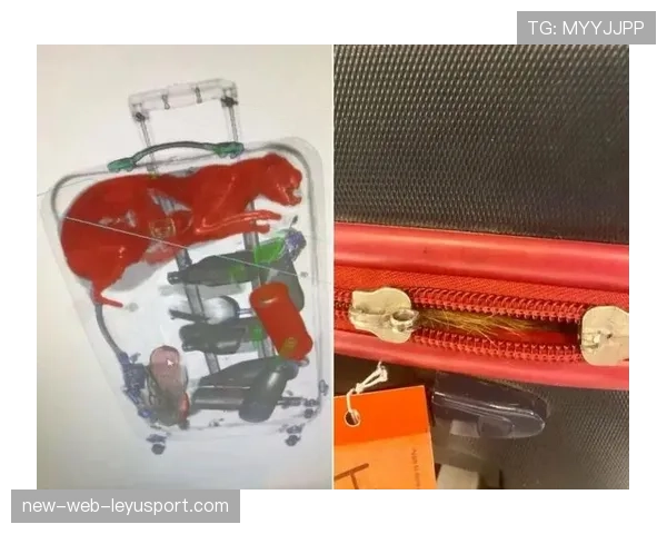 观众入场安检新规：违禁品清单发布，安检人员禁止行为